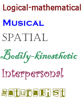 Multiple intelligences subset